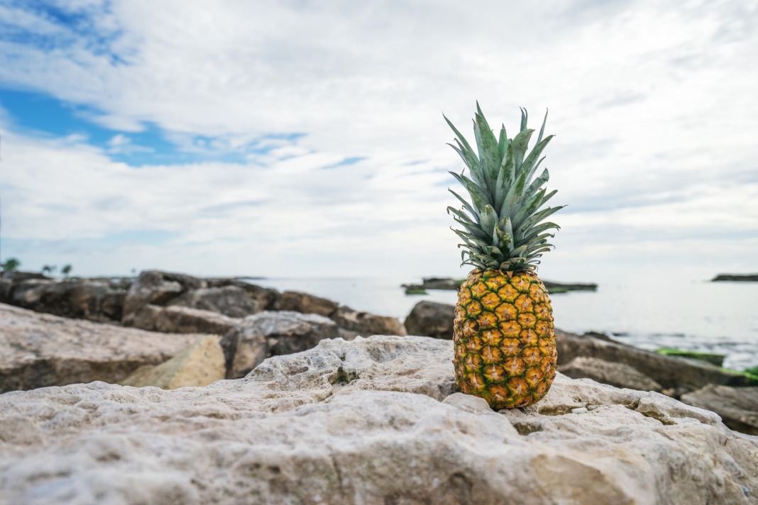 Pineapple Summer: Pieces to Sweeten Your Summer!