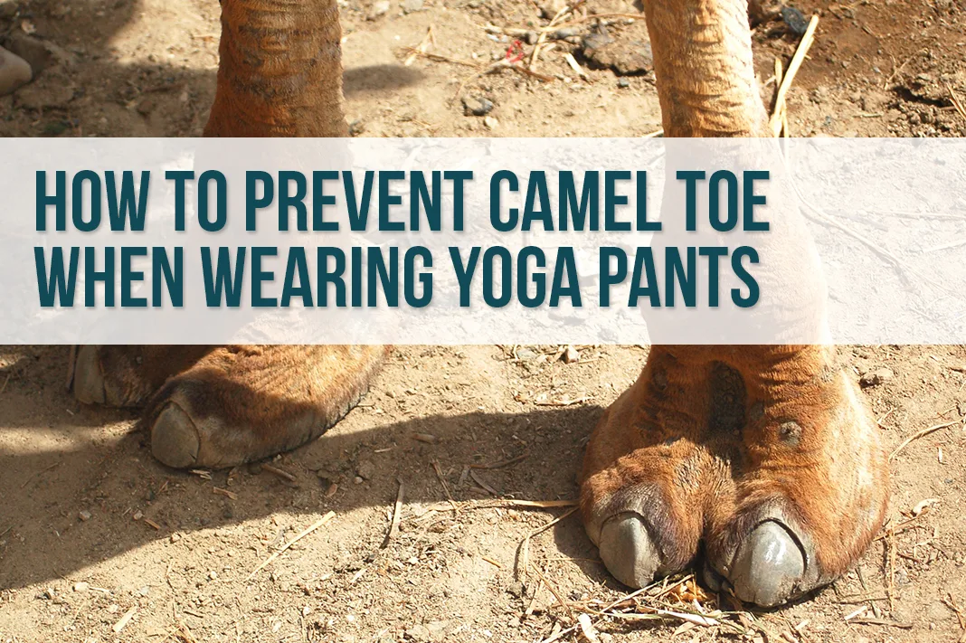 how to prevent camel toe when wearing yoga pants schimiggy reviews