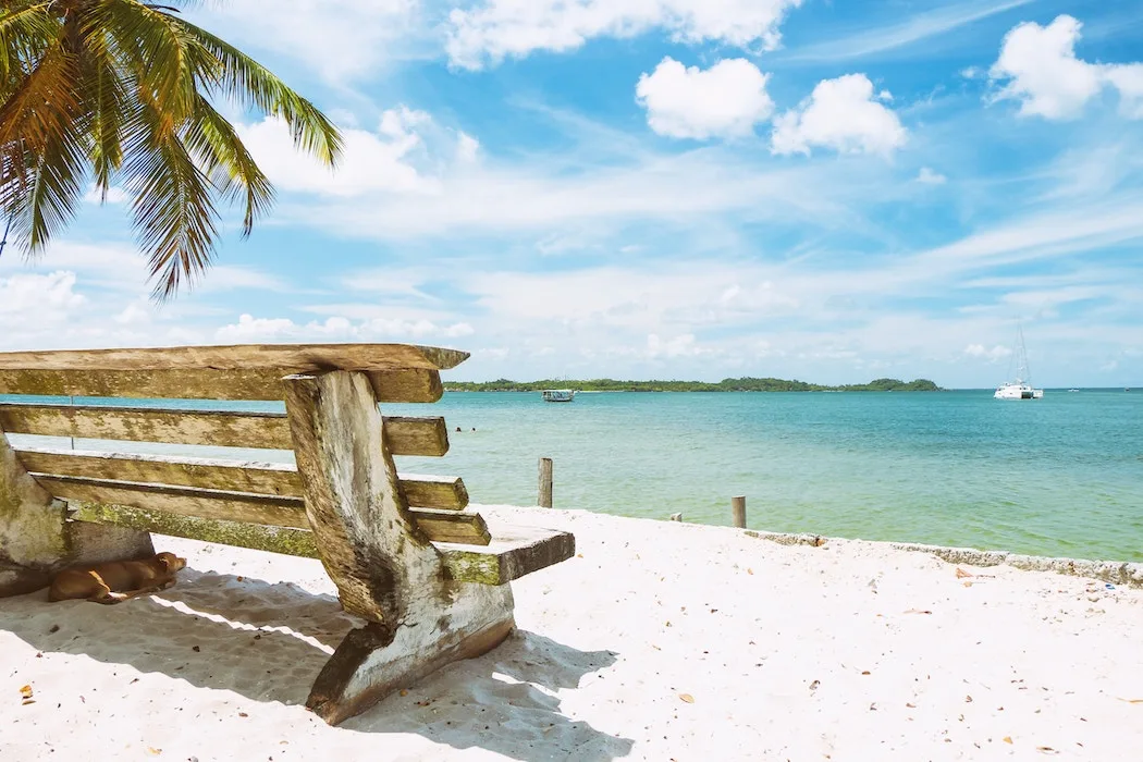 beach shore bench vacation time